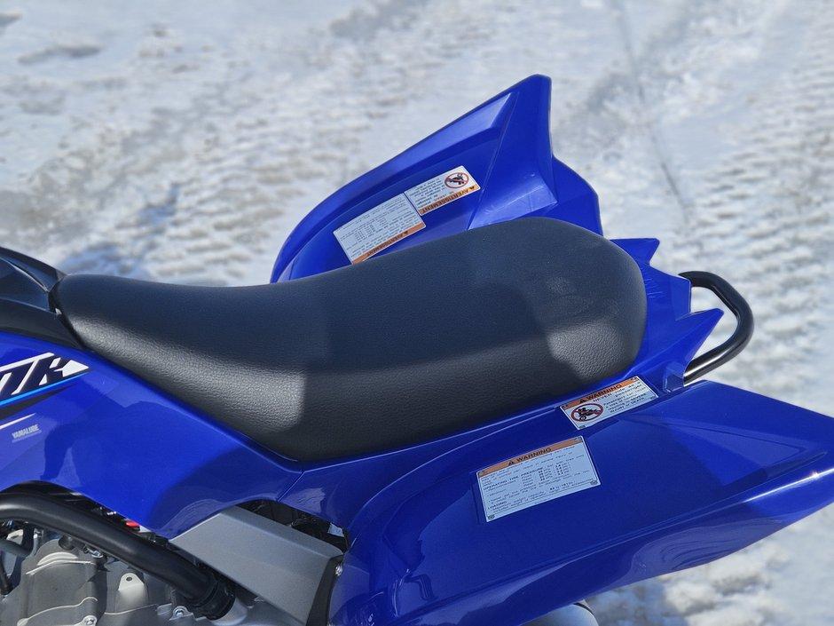 Yamaha RAPTOR 110