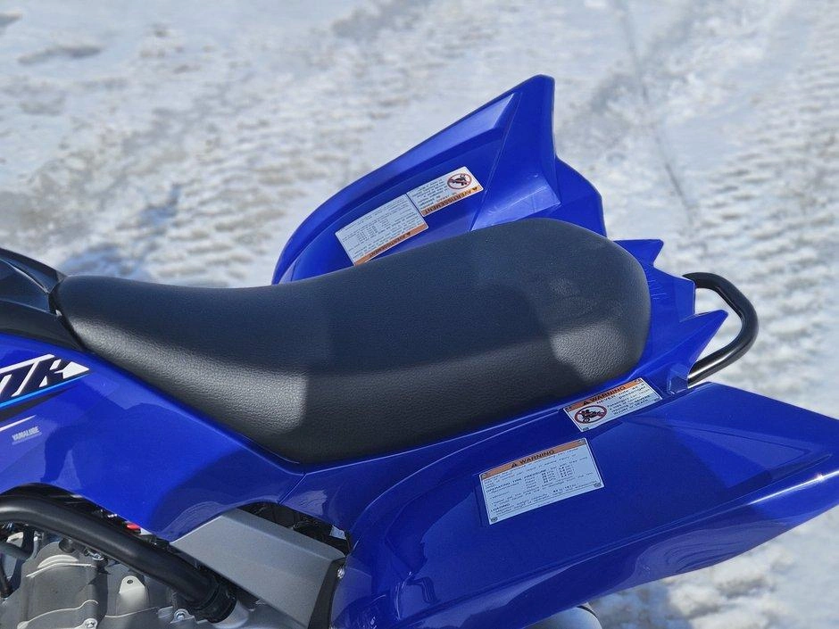 None Yamaha Raptor 110 alt