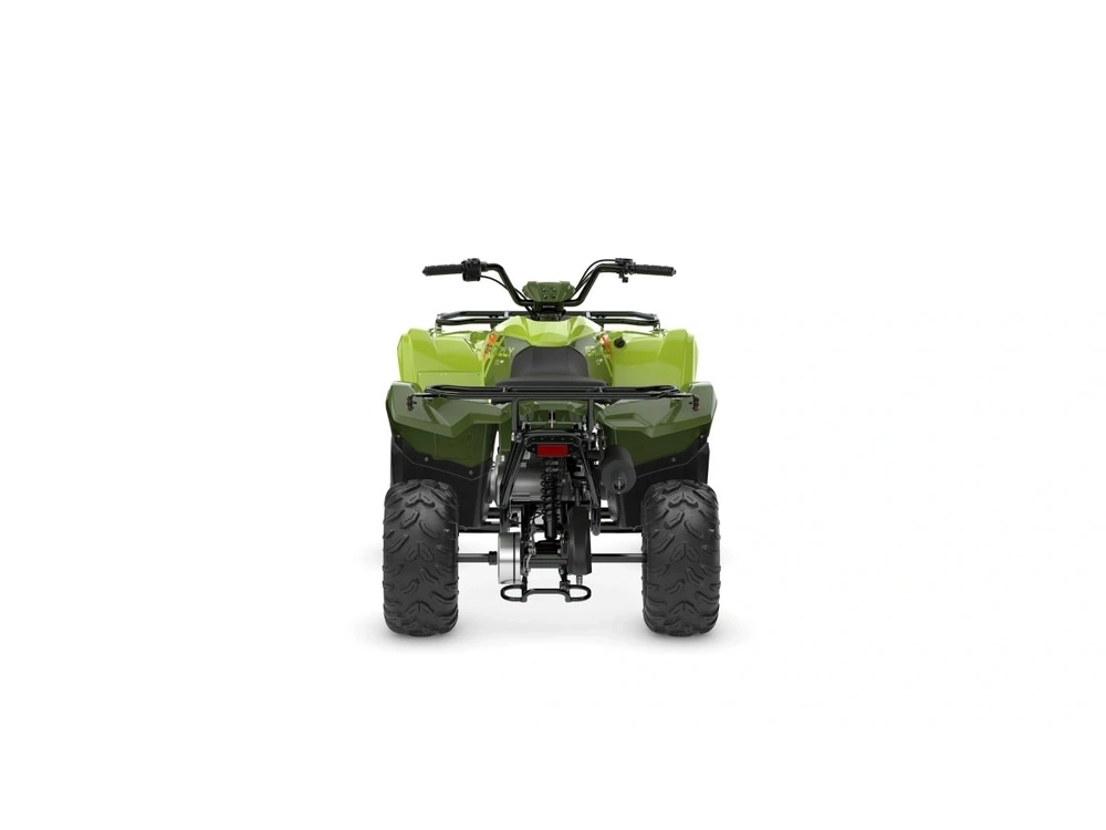 2026 Yamaha Grizzly 110 alt