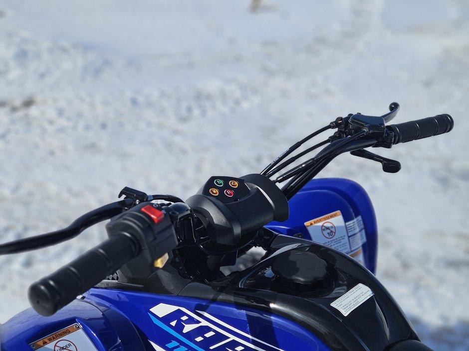 Yamaha RAPTOR 110