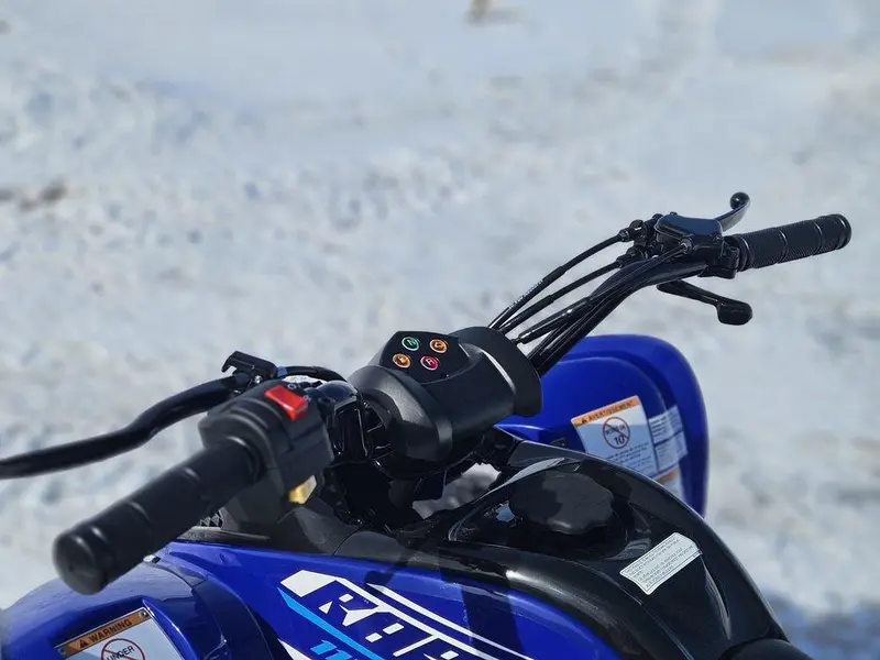 Yamaha RAPTOR 110
