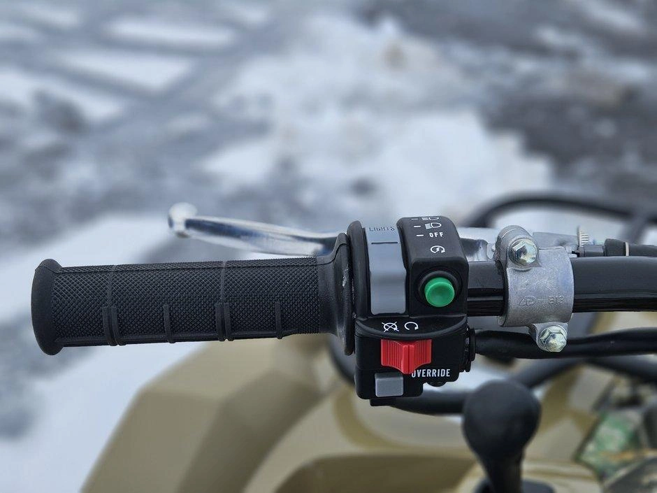 Yamaha Kodiak 450 Eps 2026 alt