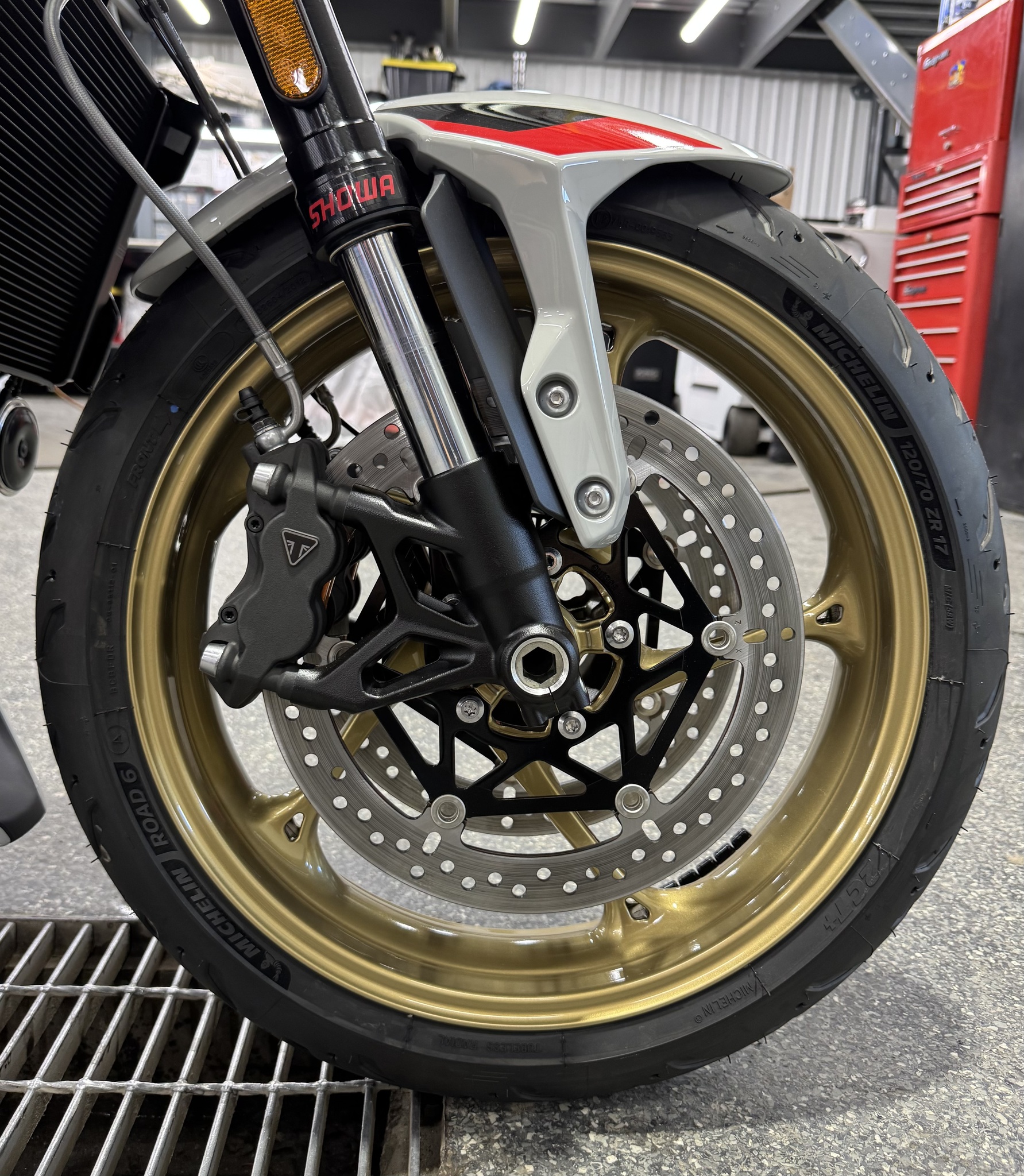 2026 Triumph TRIDENT 800 GRIS thumbnail 11