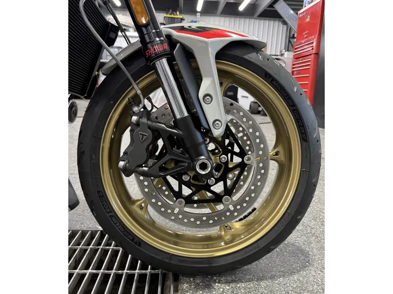 2026 Triumph TRIDENT 800 GRIS