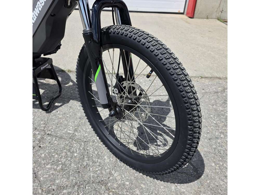 2025 Kawasaki Elektrode 20 alt