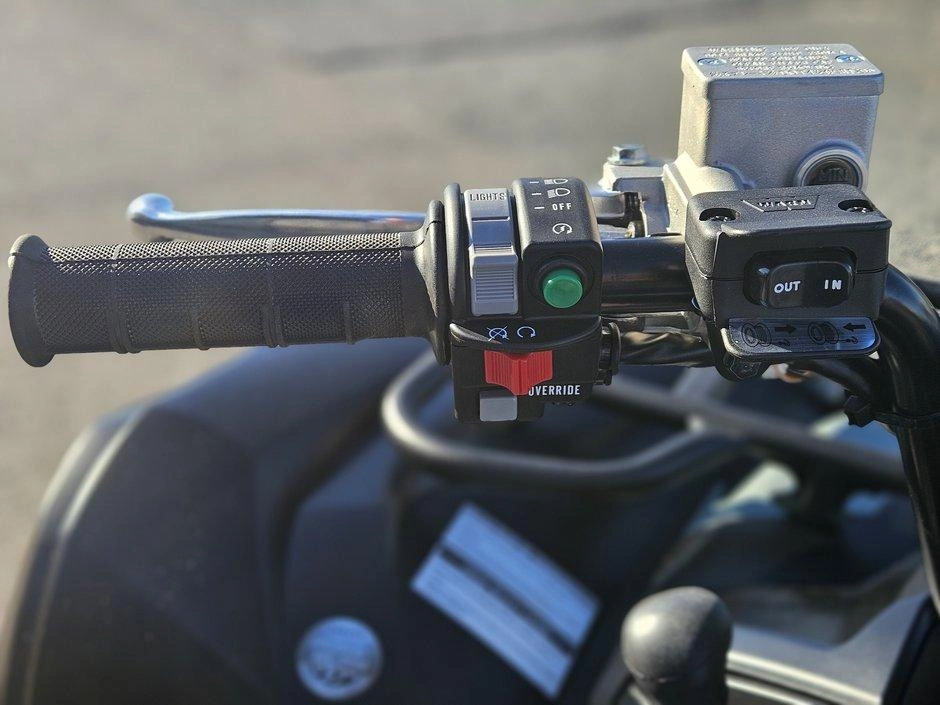 Yamaha Grizzly 700 Eps Se Xt-r 2026 alt
