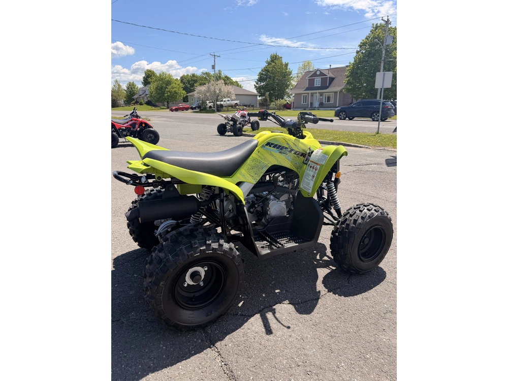 2026 Yamaha Yamaha Raptor 110 alt