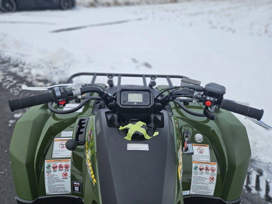 Yamaha Kodiak 450 Eps 2026 alt