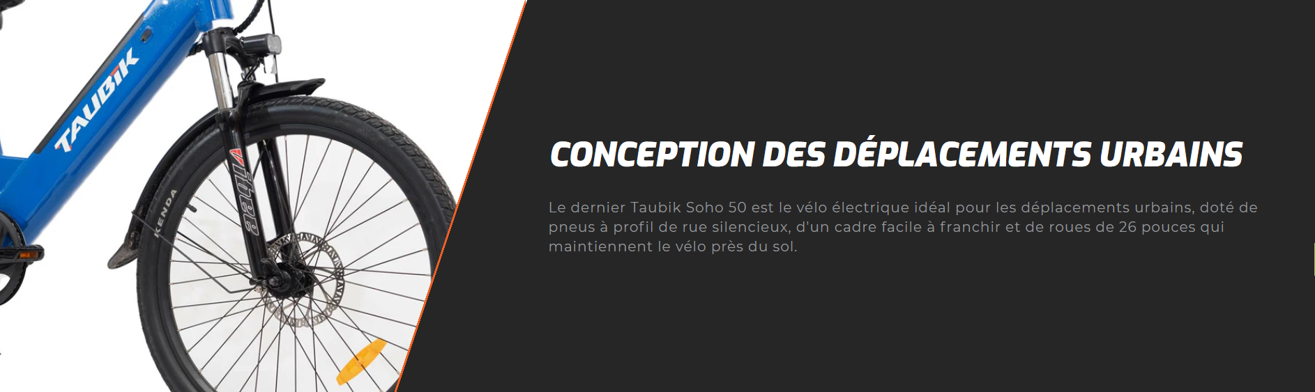 2025 TAUBIK SOHO 50 thumbnail 11
