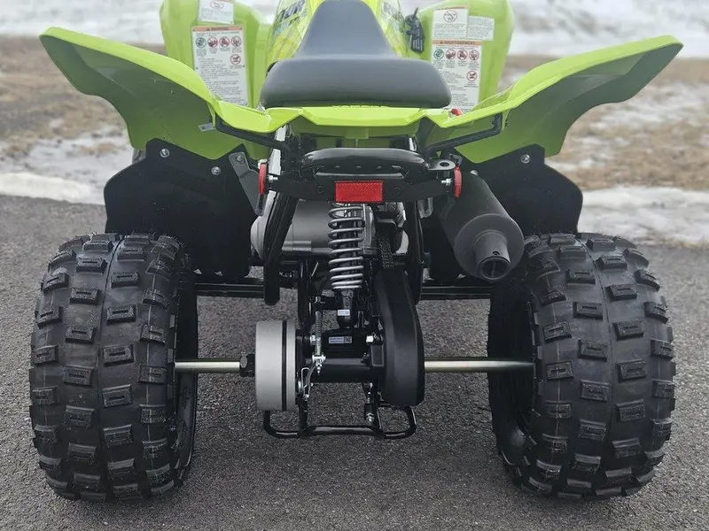2026 Yamaha RAPTOR 110