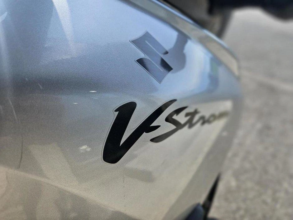 Suzuki Vstrom Dl 2004 alt
