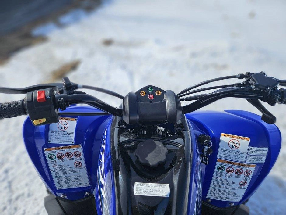 None Yamaha Raptor 110 alt
