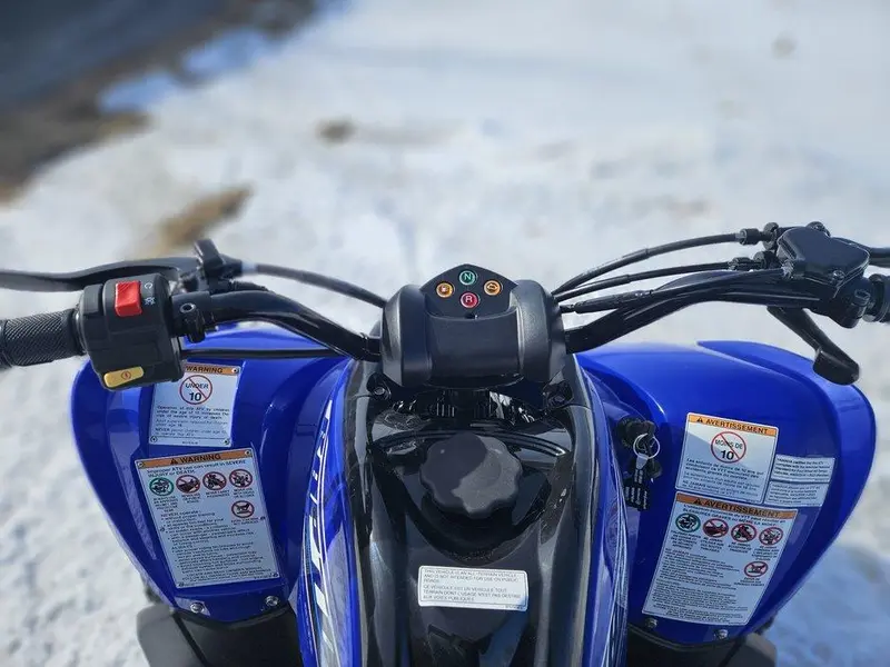 Yamaha RAPTOR 110