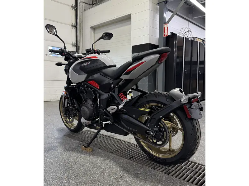 2026 Triumph TRIDENT 800 GRIS