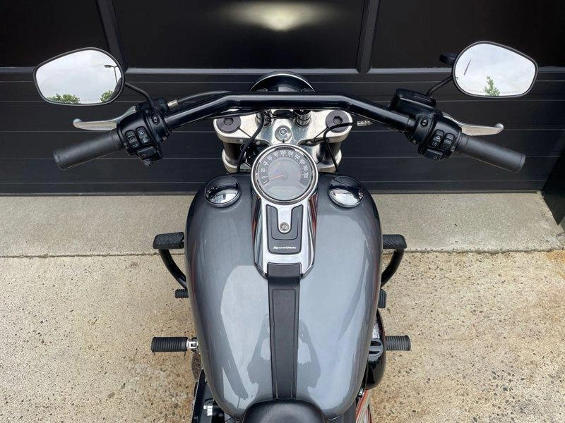 2021 Harley-davidson Flsb - Sport Glide alt
