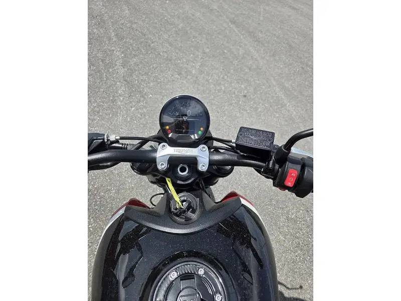 Triumph TRIDENT 660 2025