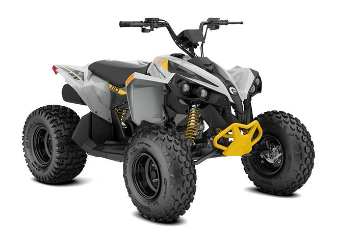 2026 Can-Am RENEGADE 110 EFI