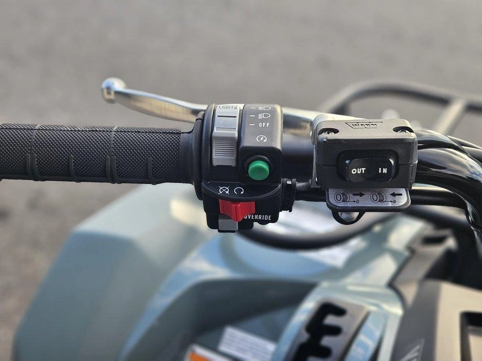 Yamaha Kodiak 450 Eps Xt-r 2026 alt