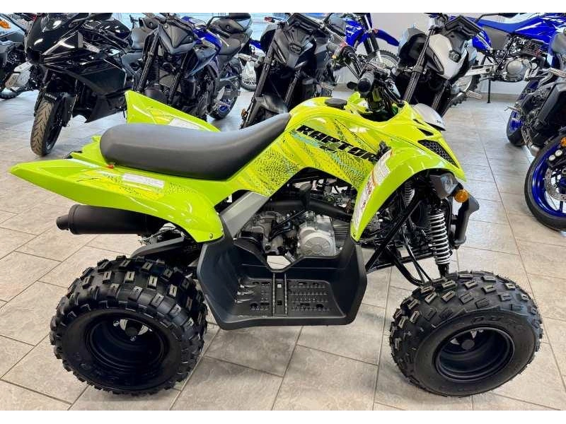 2026 Yamaha Raptor 110 alt