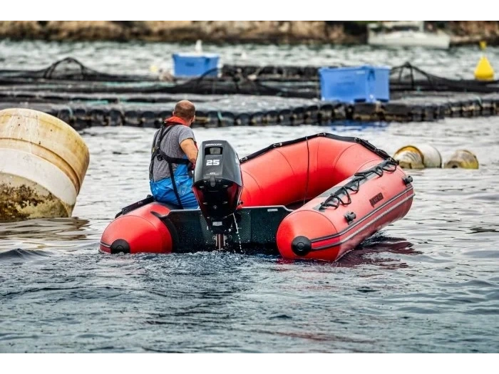 2026 Mercury Mercury - Seapro 25hp alt
