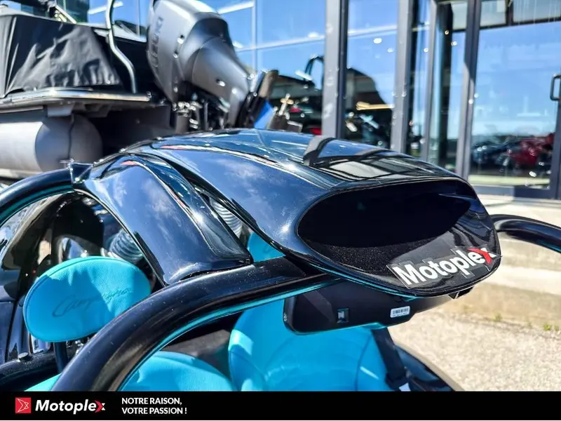 Campagna T-Rex RR 2026