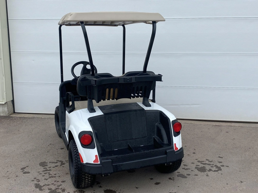 2023 E-z-go Rxv Valor alt