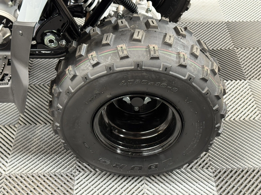 2026 Polaris Phoenix 200 alt