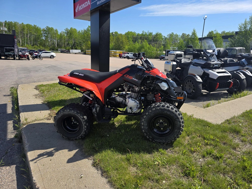 2026 Can-am Ds250 alt