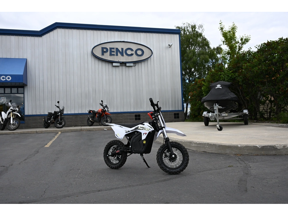 2025 Ssr Motorsports Srn125 alt