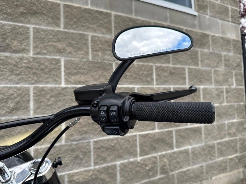 2021 Harley-davidson Flsl - Softail Slim alt