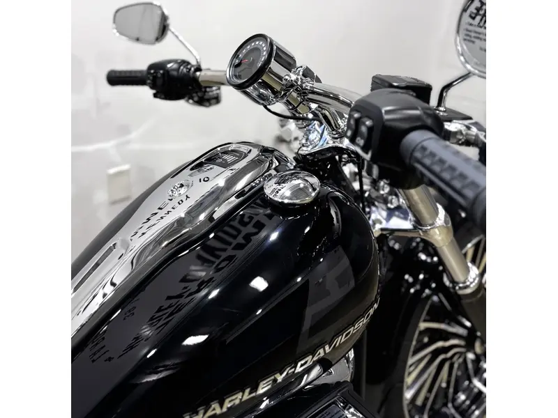Harley-Davidson Breakout FXBR 2025