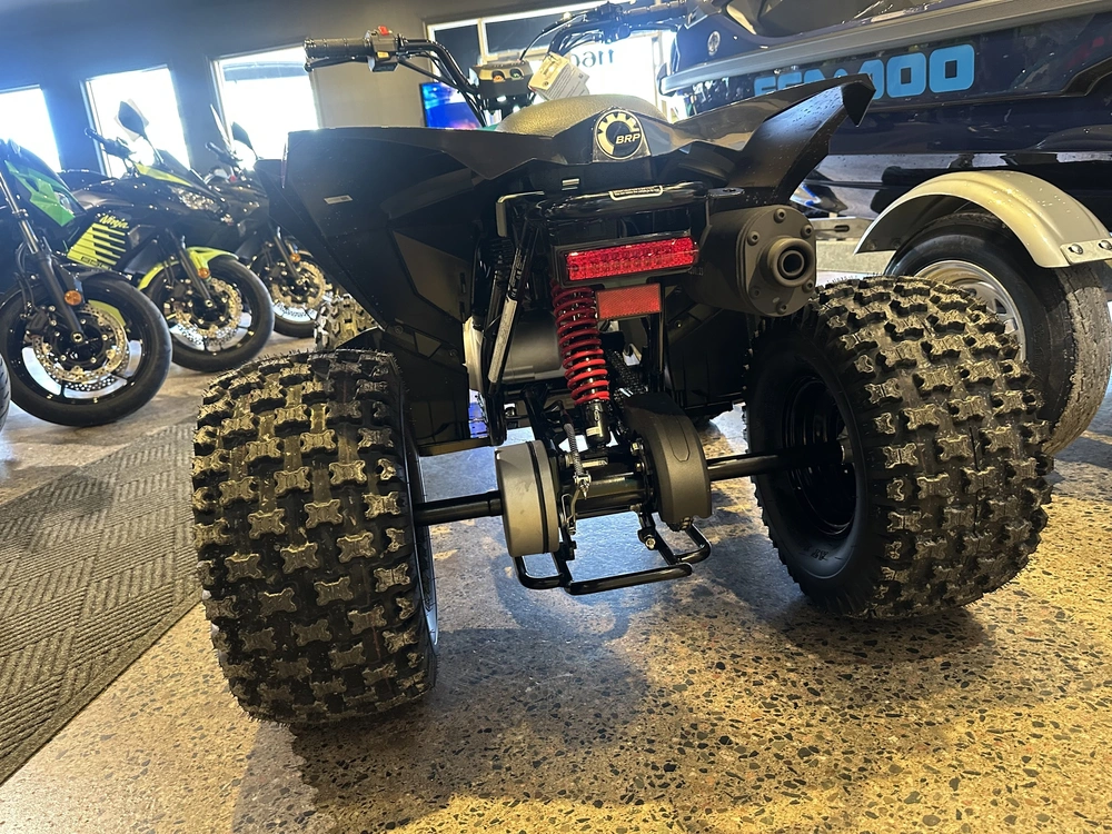 2026 Can-am Renegade 110 Efi alt
