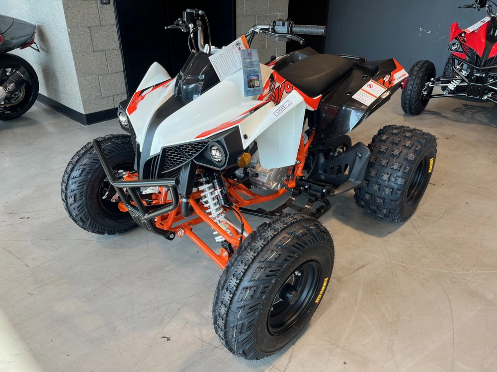 2027 Kayo Storm 300 Efi alt