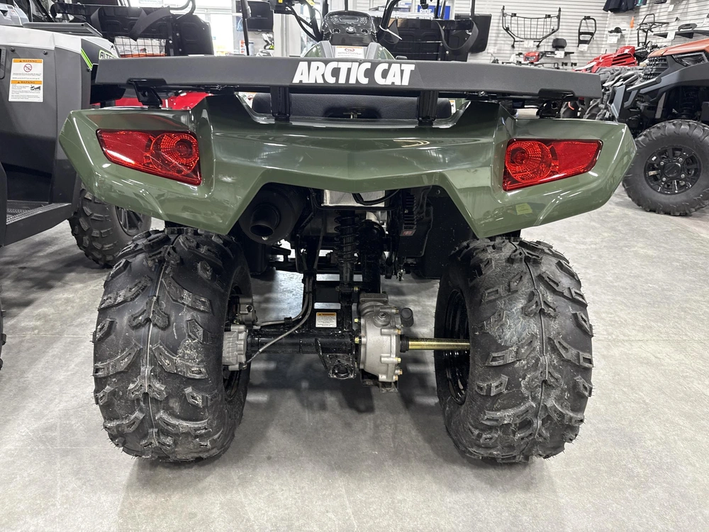 2026 Arctic Cat Alterra 300 alt