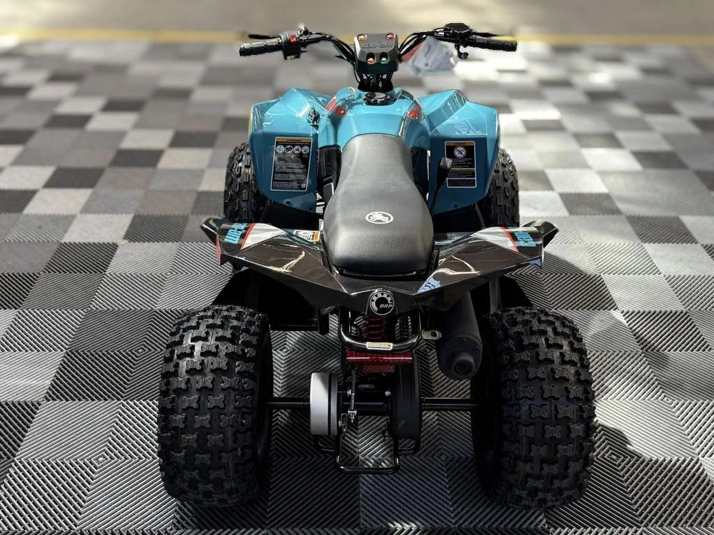 2026 Can-am Renegade 110 Efi alt