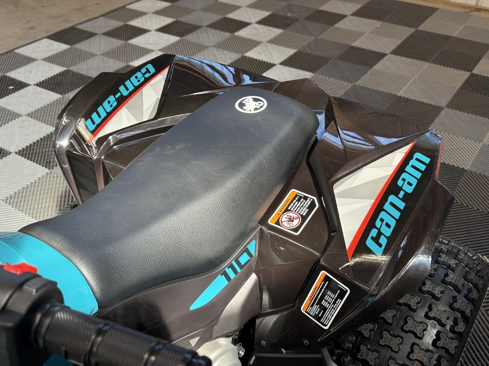 2026 Can-am Renegade 110 Efi alt