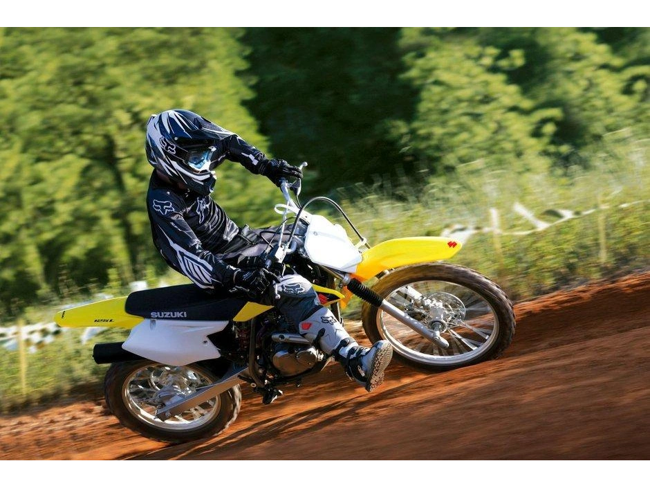 Suzuki Dr-z125l 2026 alt