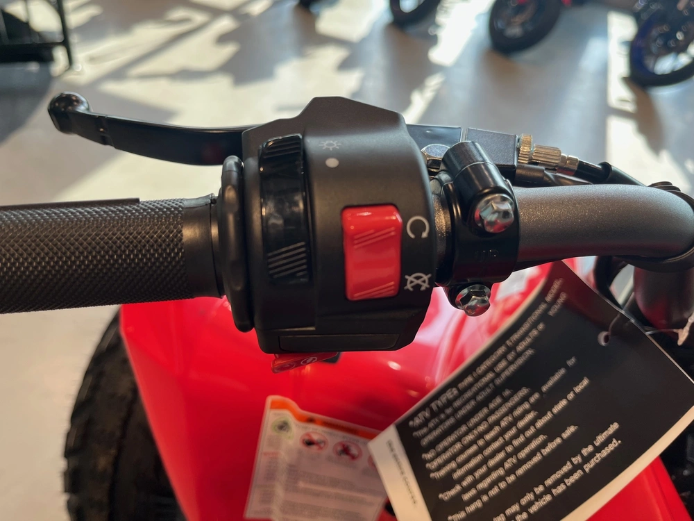 2026 Kayo Storm 300 Efi alt
