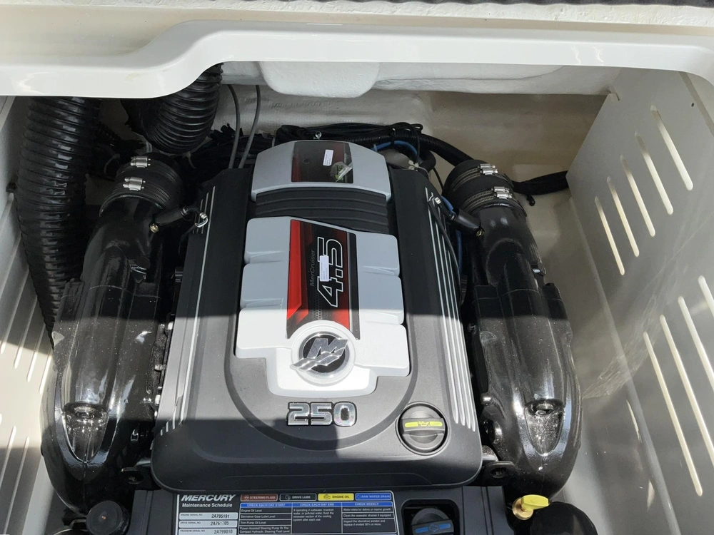 2025 Bayliner D20i alt