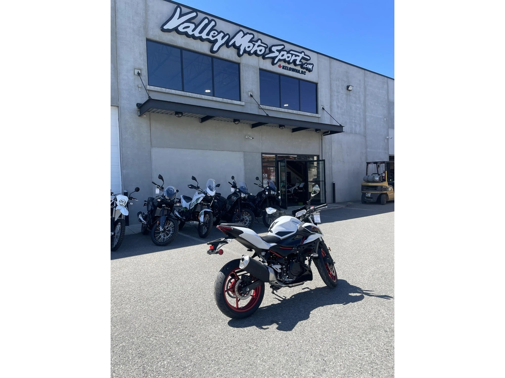 2026 Kawasaki Z500 Se Abs alt