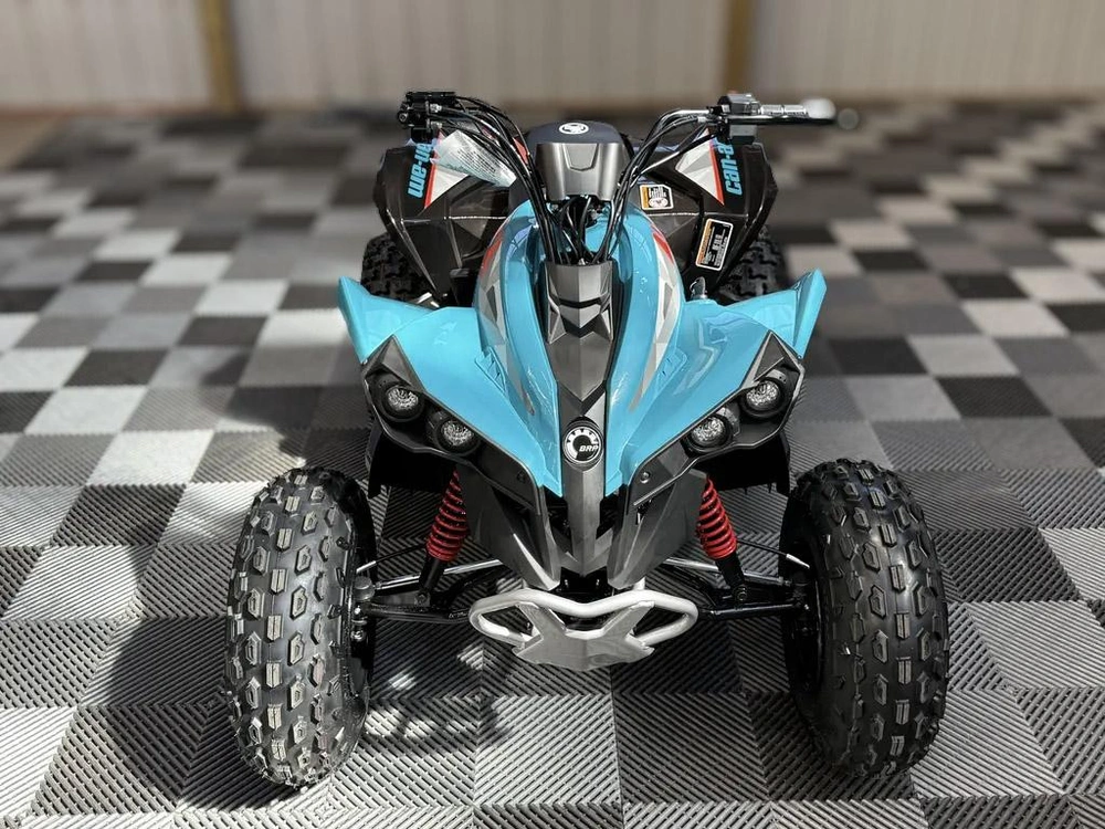 2026 Can-am Renegade 110 Efi alt