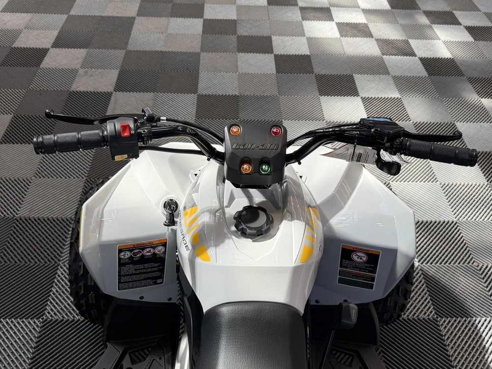 2026 Can-am Renegade 110 Efi alt