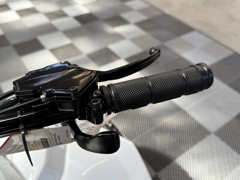 2026 Can-am Renegade 110 Efi alt
