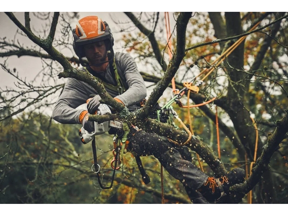 2026 Stihl Gta 40 Set alt