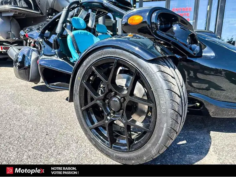 Campagna T-Rex RR 2026