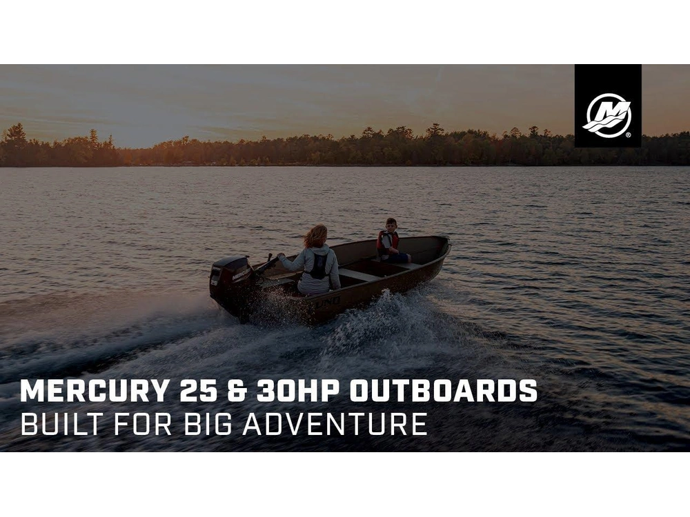 None Mercury Mercury - Fourstroke 30hp alt