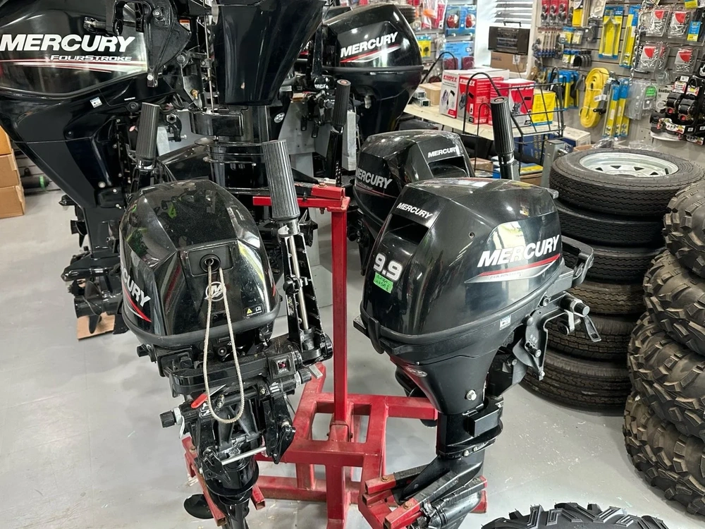 2022 Mercury 25 Elh alt