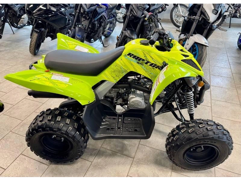 2026 Yamaha Raptor 110 alt