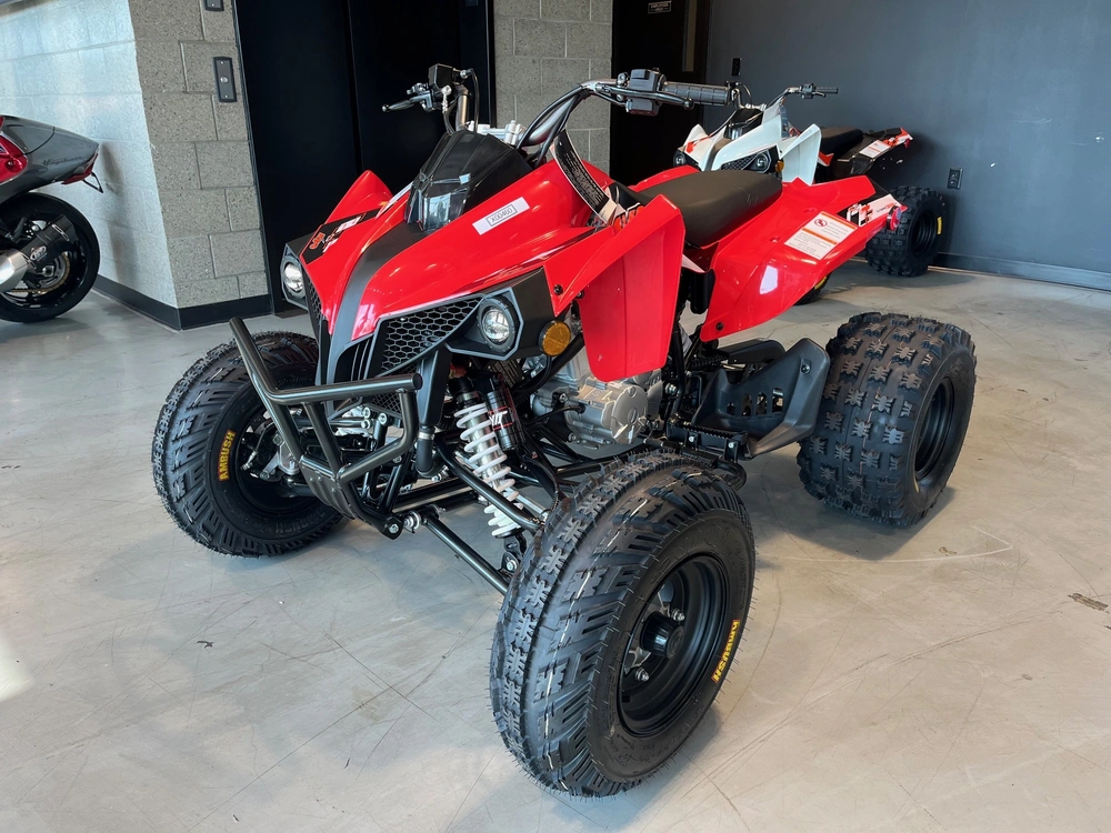 2026 Kayo Storm 300 Efi alt