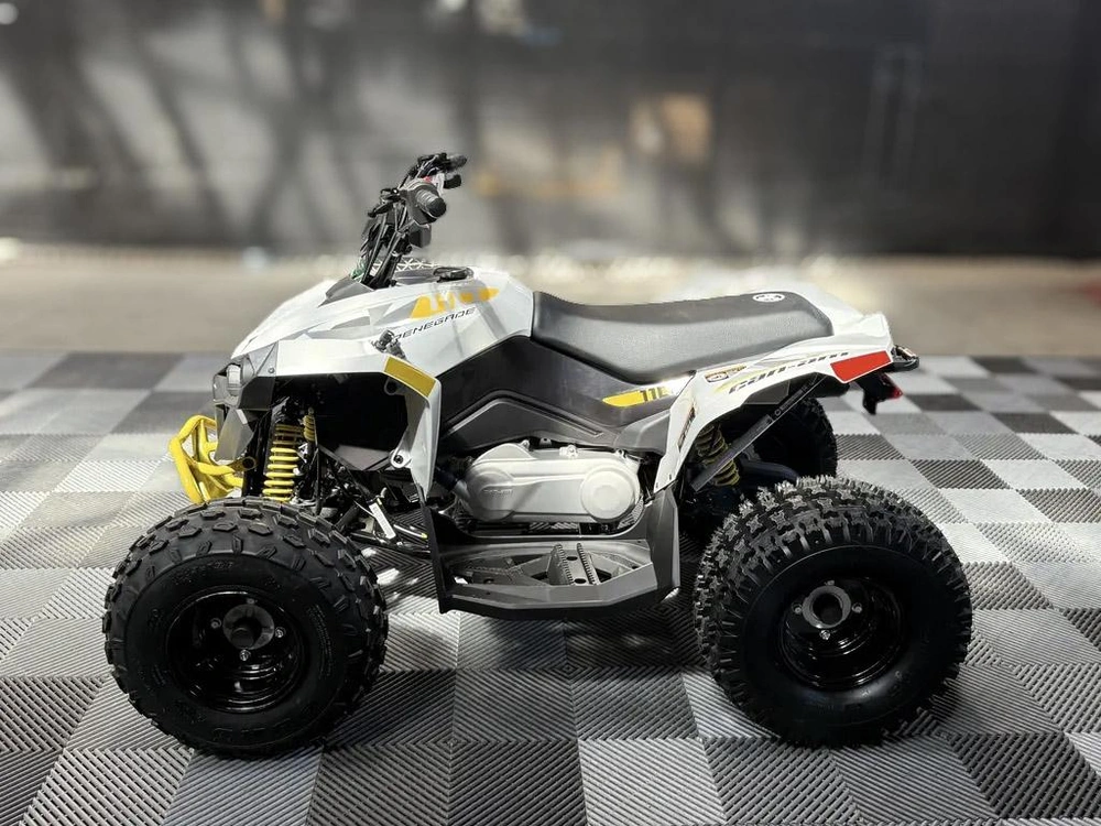 2026 Can-am Renegade 110 Efi alt